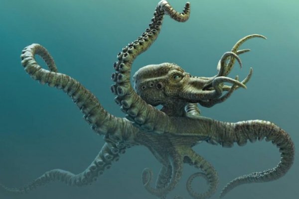 Kraken рабочая ссылка 2025