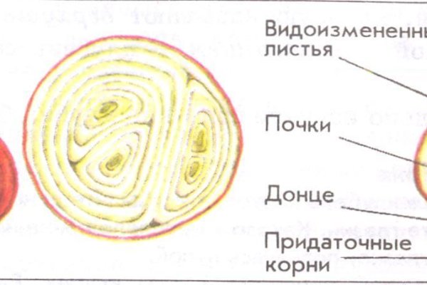 Магазин веществ кракен